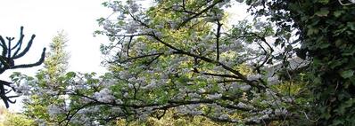 Valeurs, Politique environnementale, Histoire